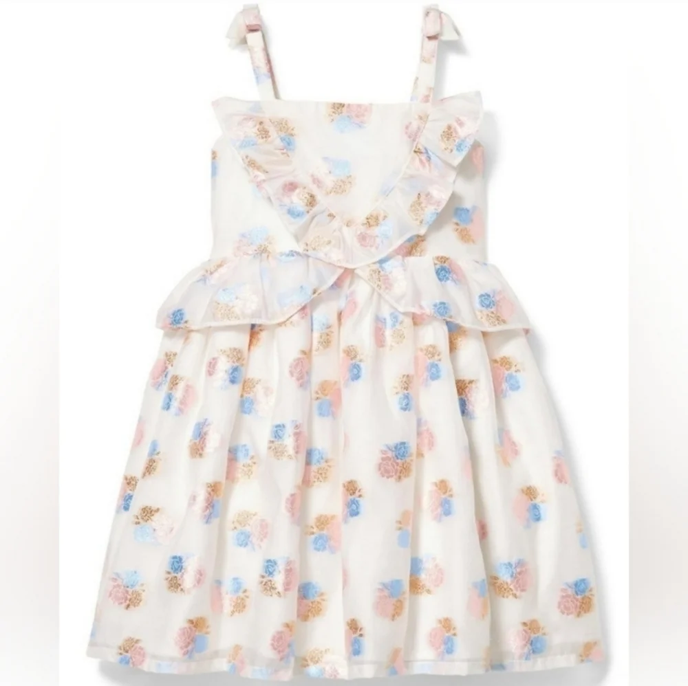 Janie and Jack Floral Embroidered Jacquard Dress